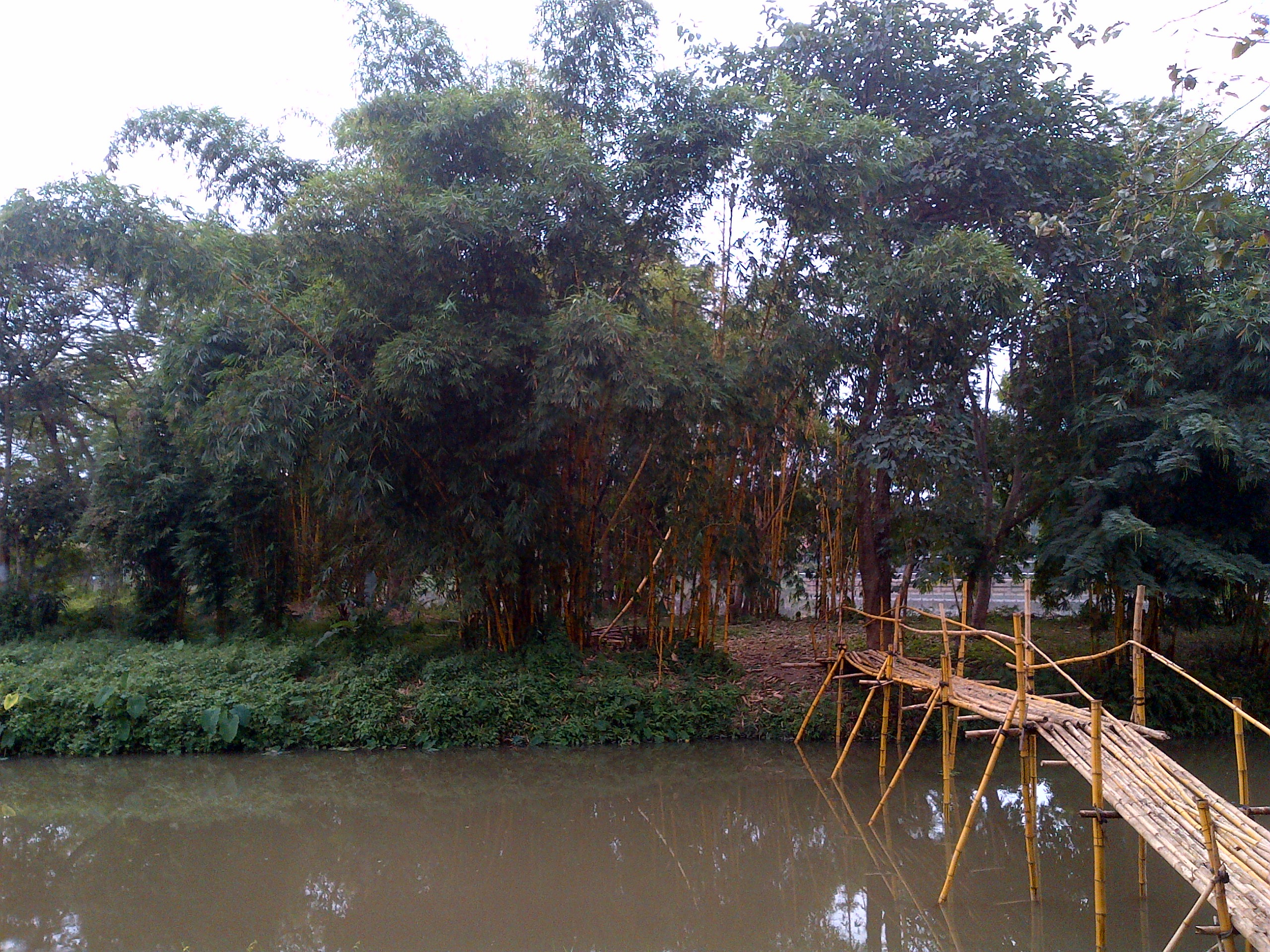 IMG-20151227-03329