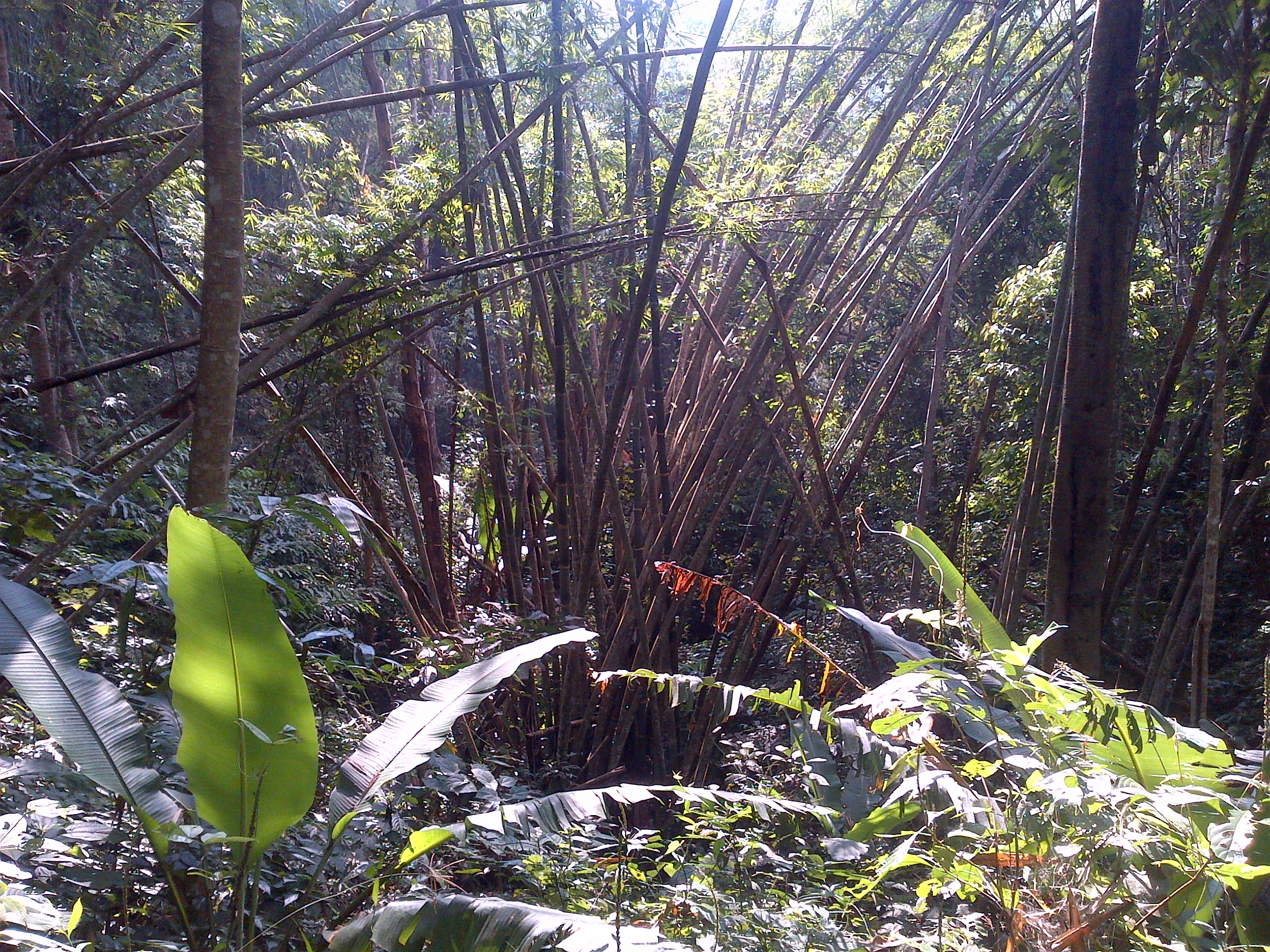 IMG-20151228-03367