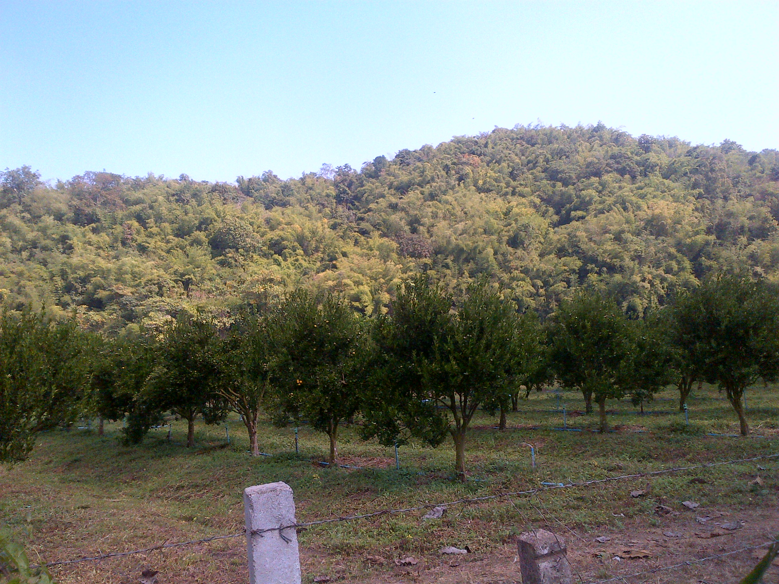 IMG-20151228-03393