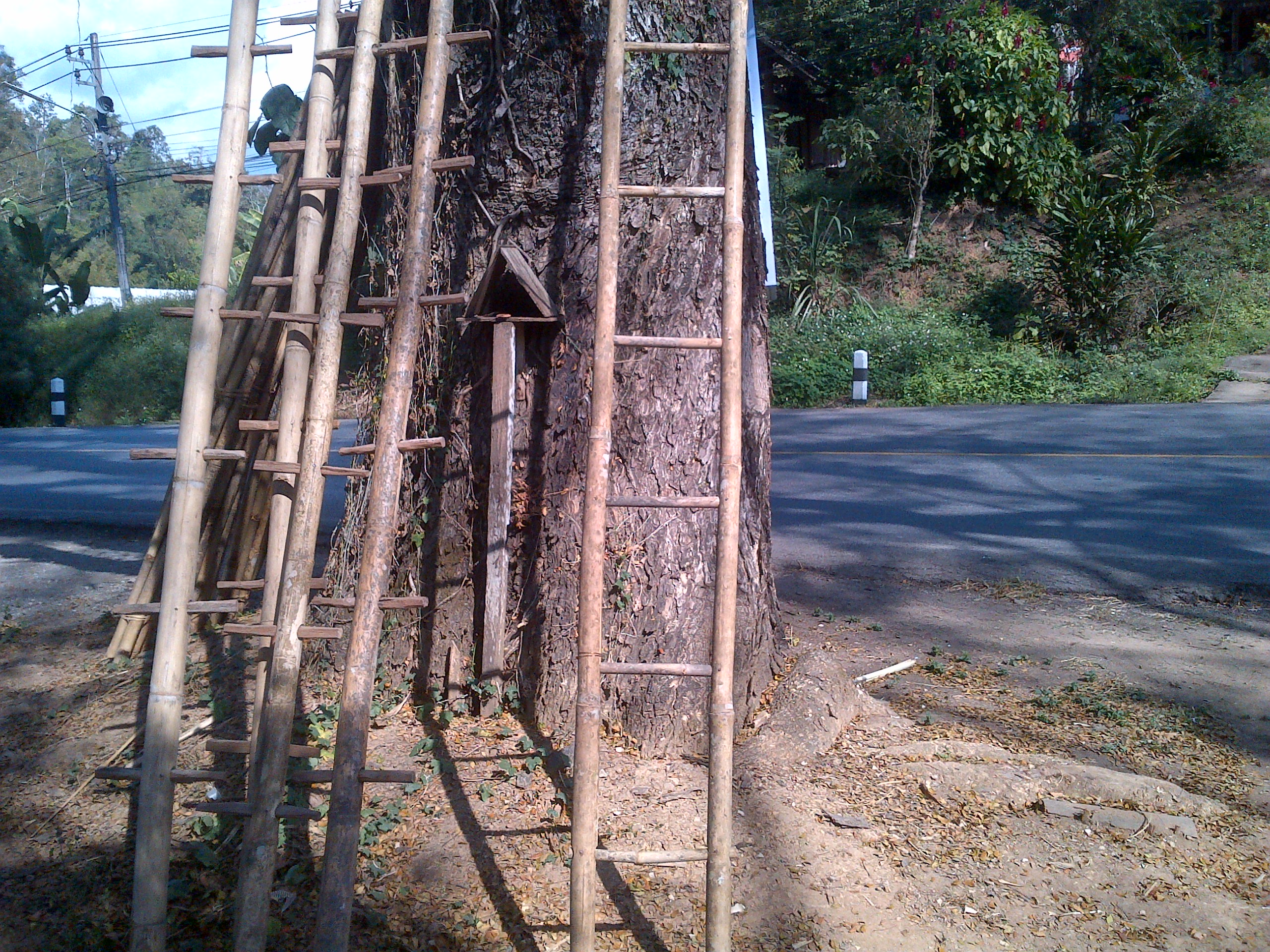 IMG-20151229-03410