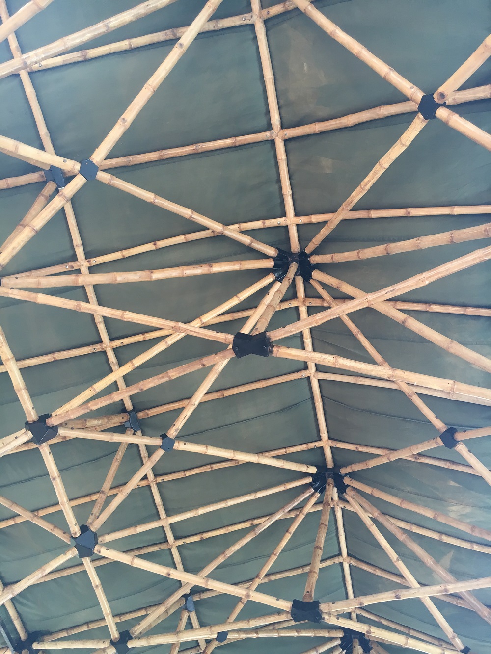 cropped-roof.jpg