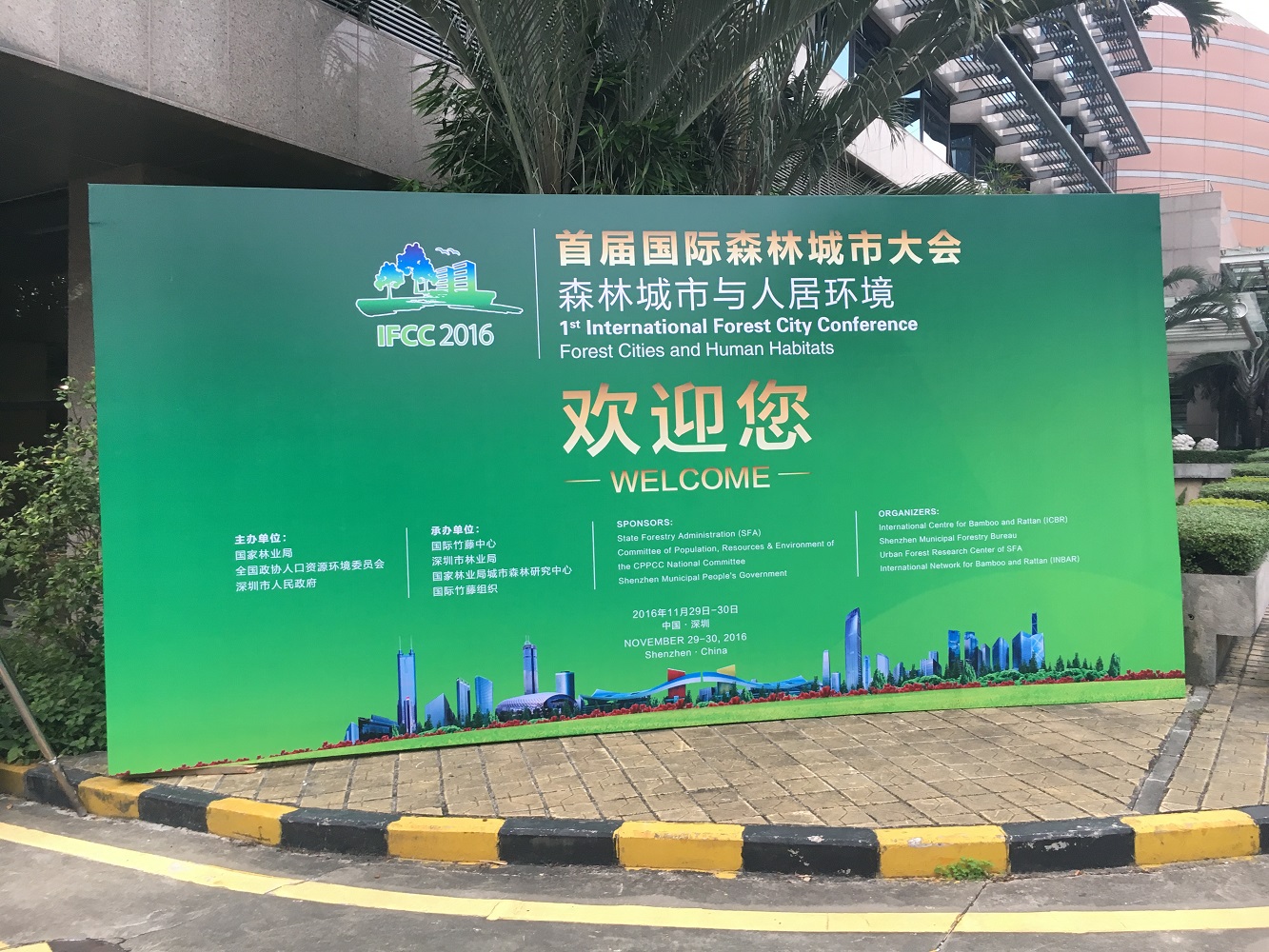 ifcc-board