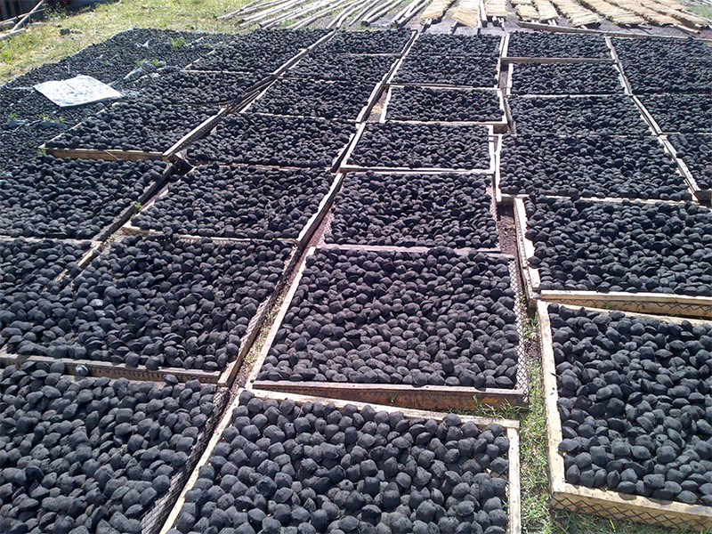 Bamboo charcoal at ADAL factory, Ethiopia