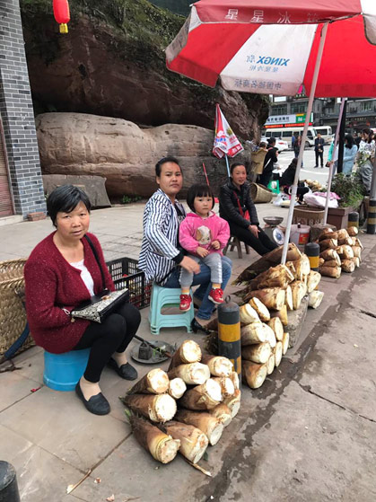 Bamboo shoots for sale in Guizhou, China