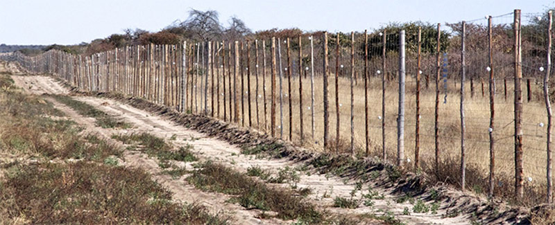 A typical veterinary cordon fence in Botswana. Photo Credit: M. Atkinson, AHEAD.