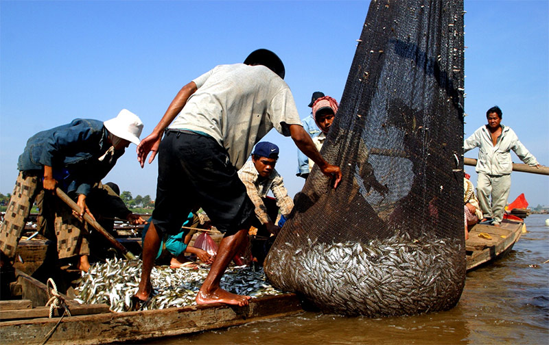 Fish catch from Tonle Sap. Photo by Zeb Hogan